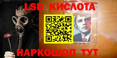 крисы Новодвинск