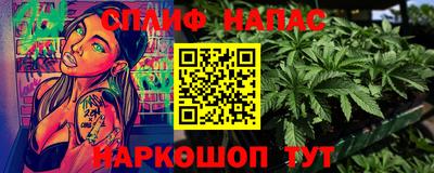 крисы Новодвинск