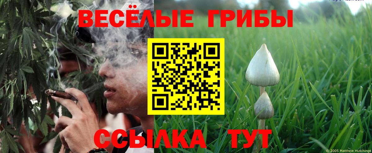 Родники  Псилоцибиновые грибы Cubensis  Вход с VPN 